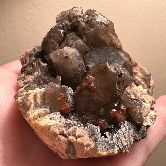 Chocolate Smoky Quartz and garnet gem specimens on matrix 155 g - Picture 10 of 15
